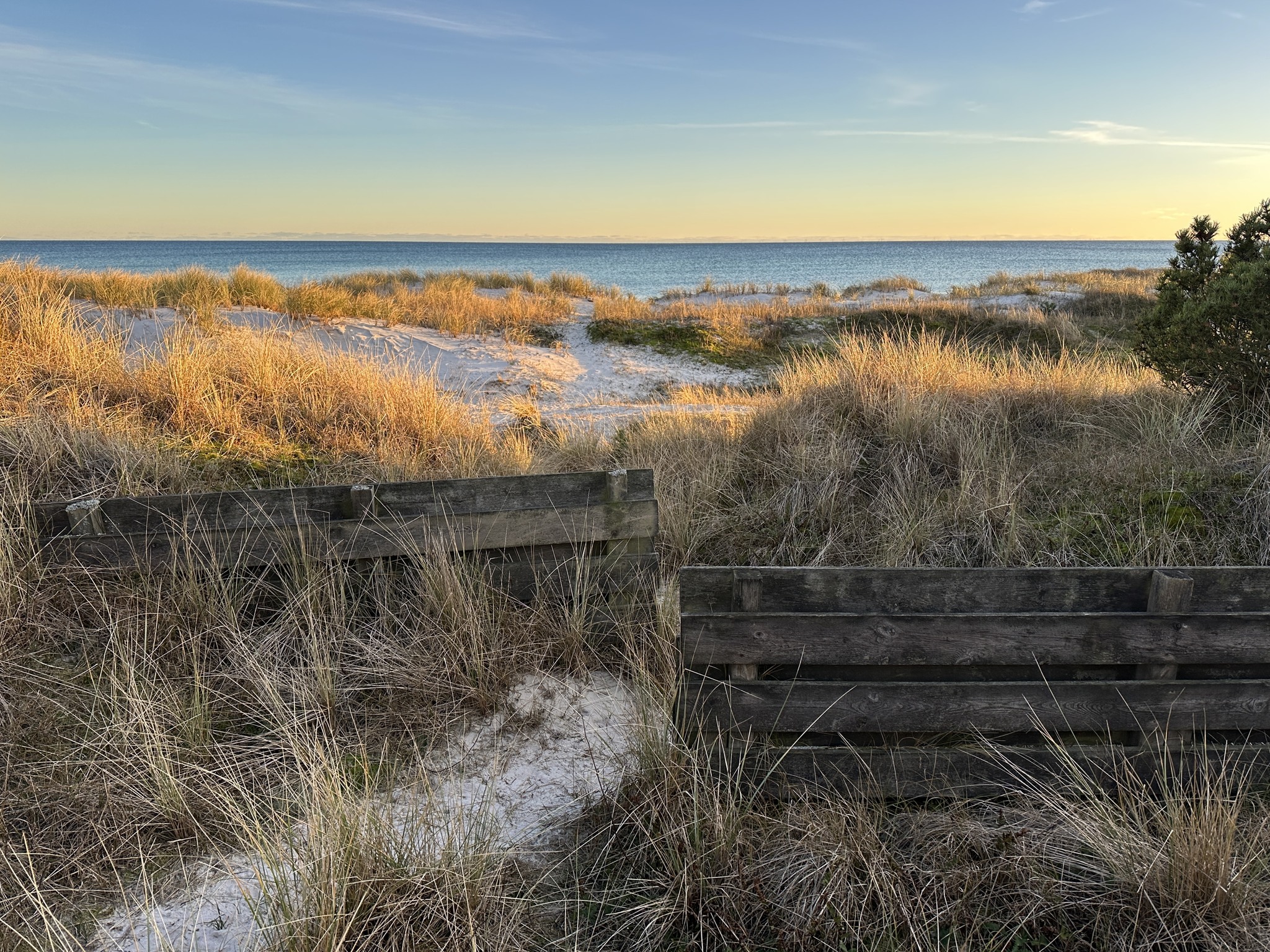 Falsterbo