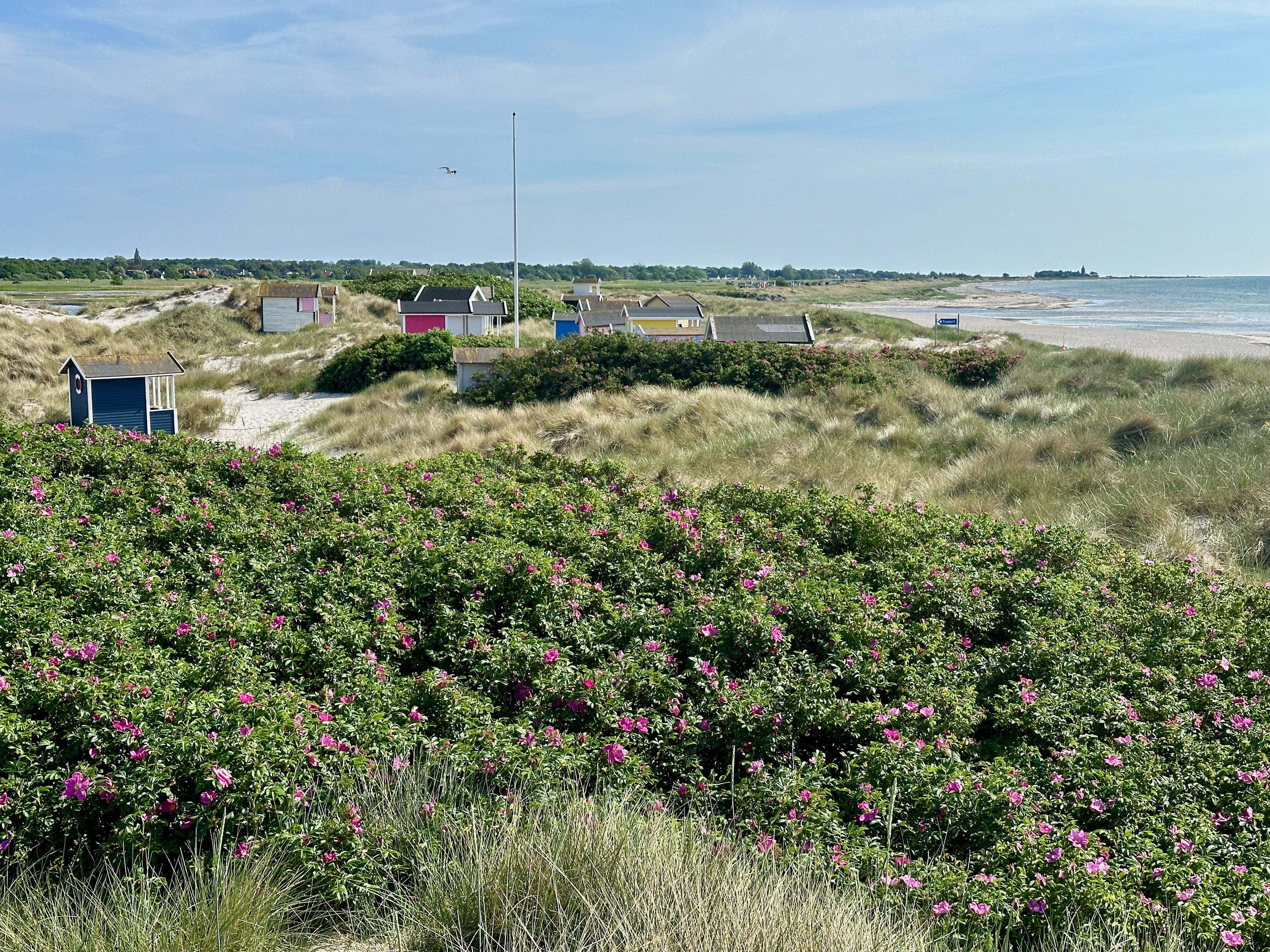 Skanör