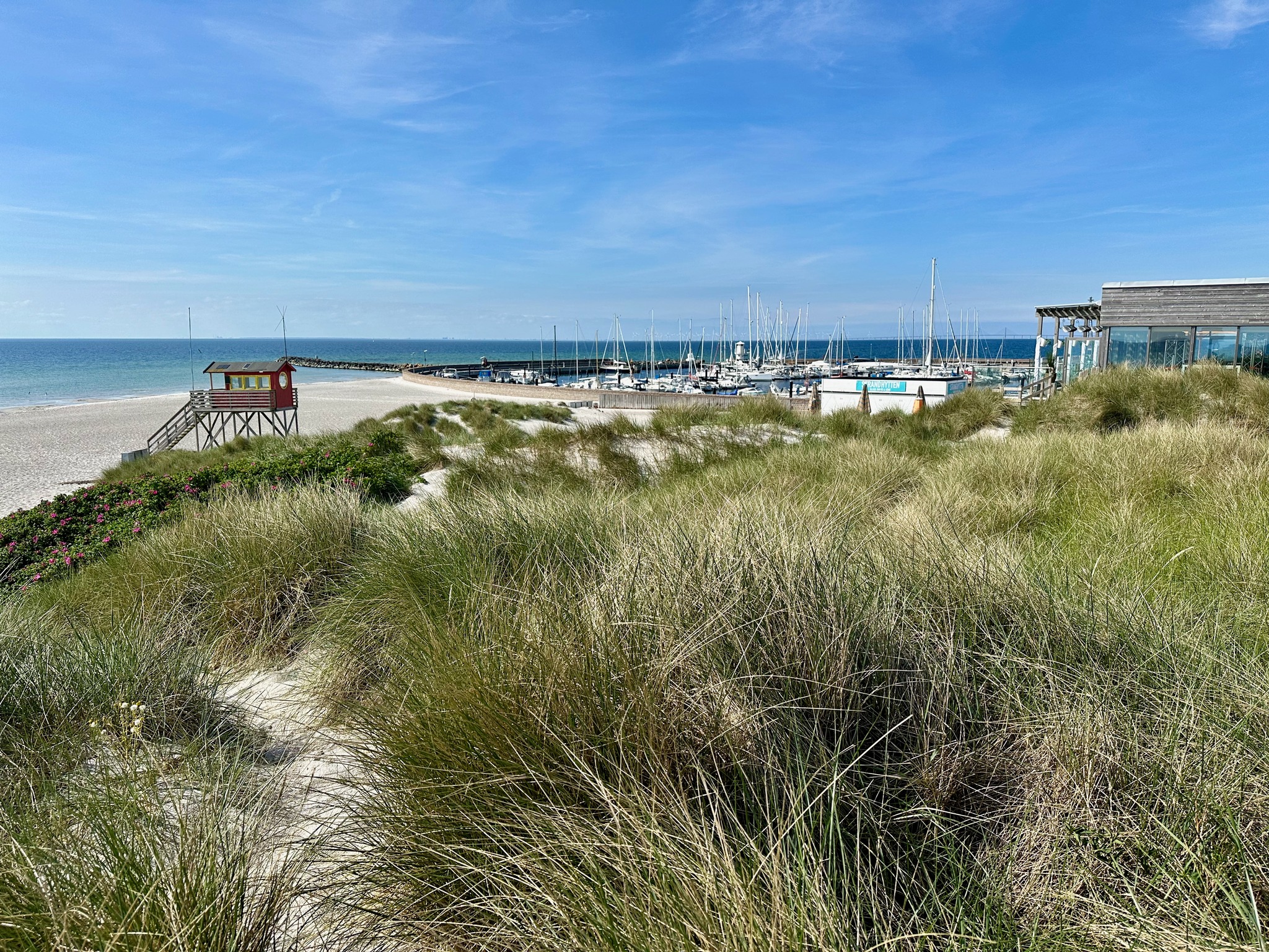 Skanör