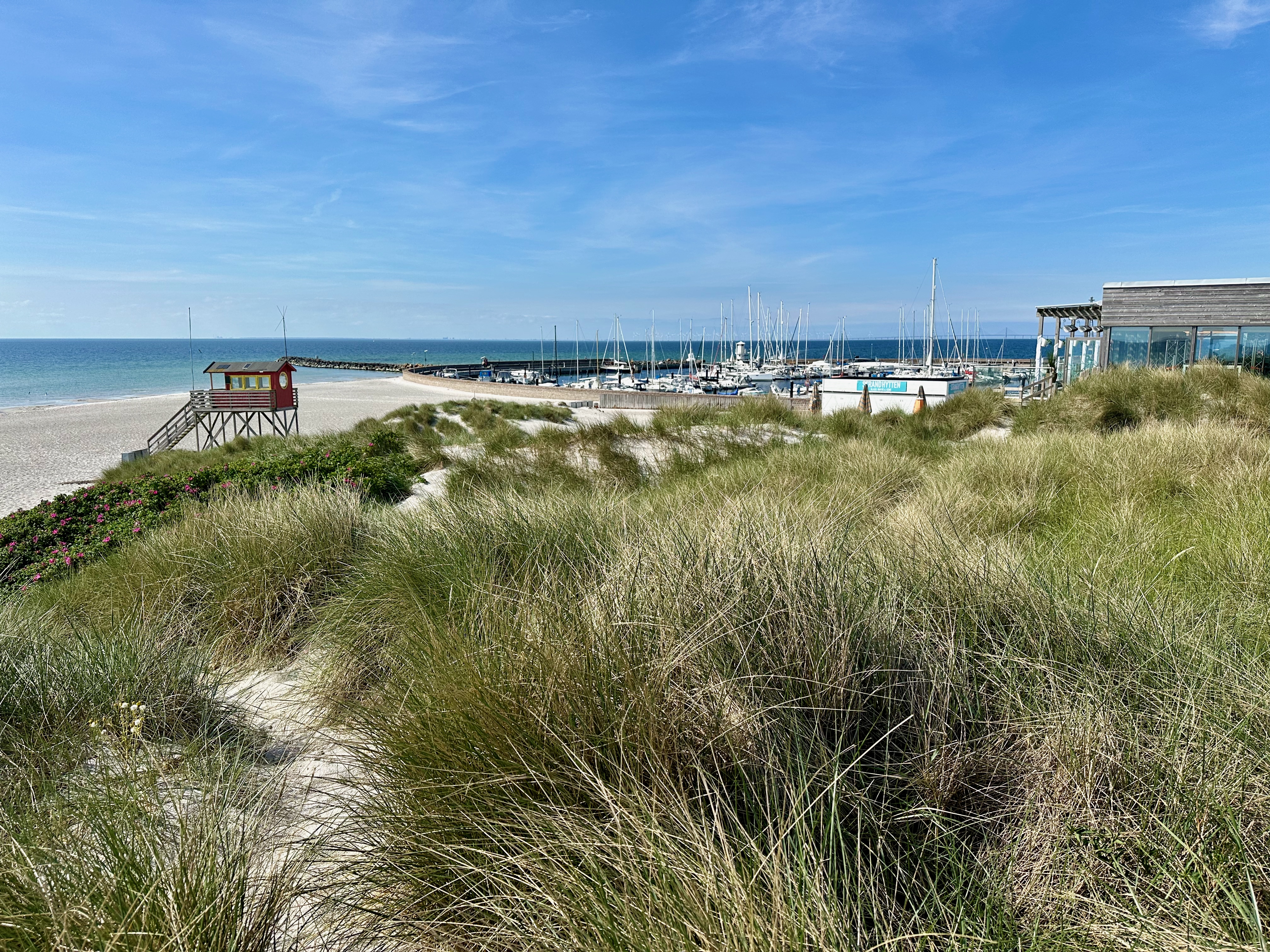 Skanör