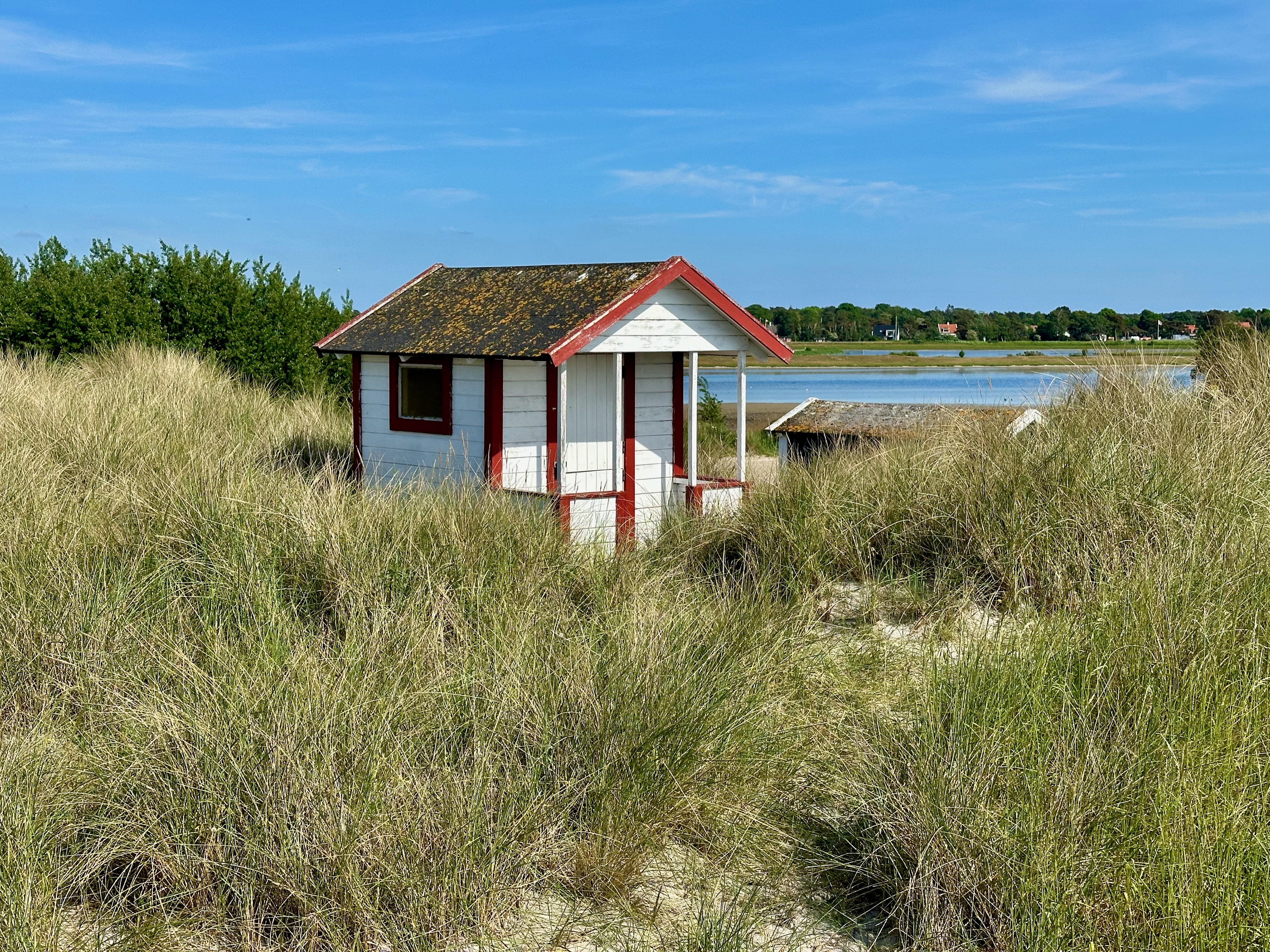 Skanör