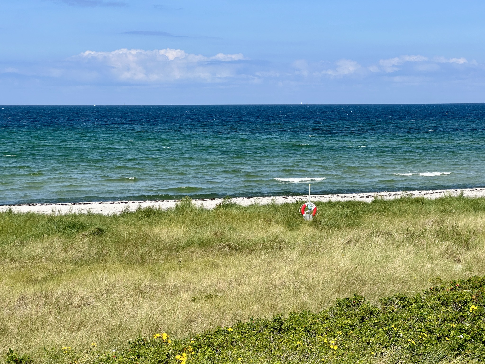 Flommen - Falsterbo