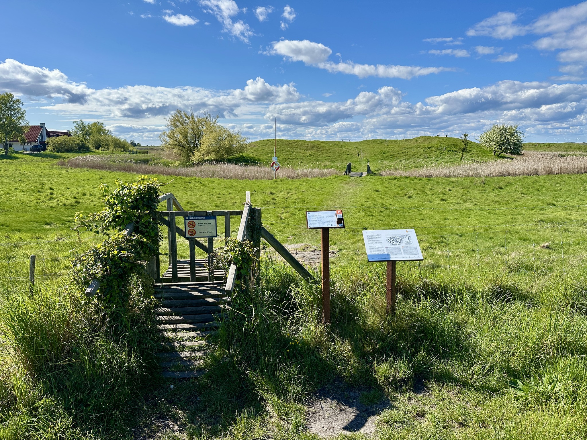 Skanörs borgruin