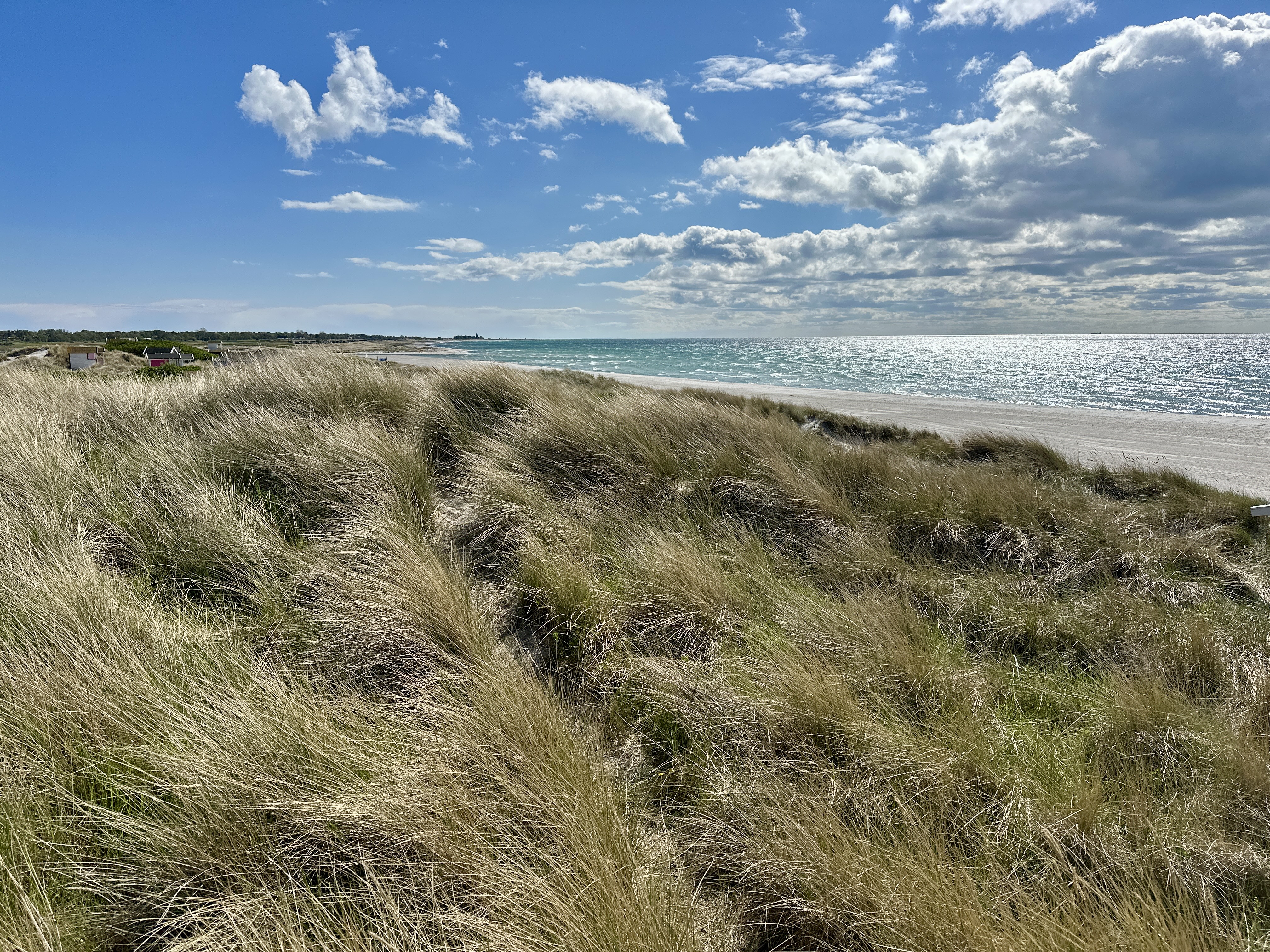 Skanörs strand