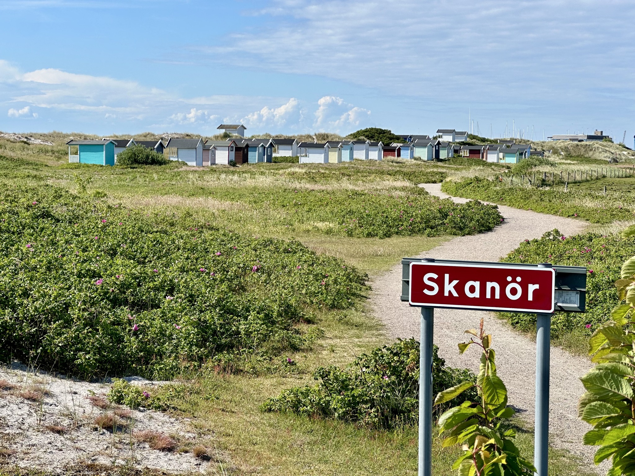 Skanör