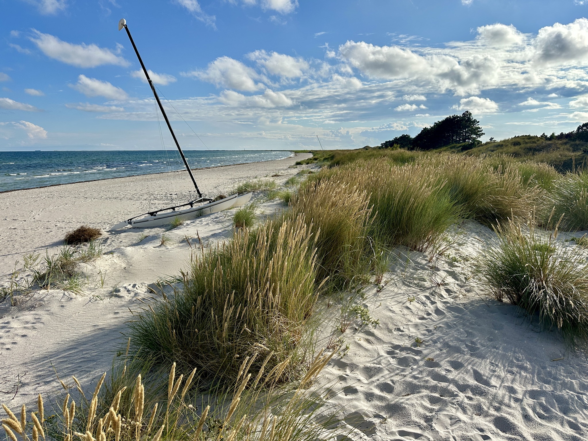 Falsterbo