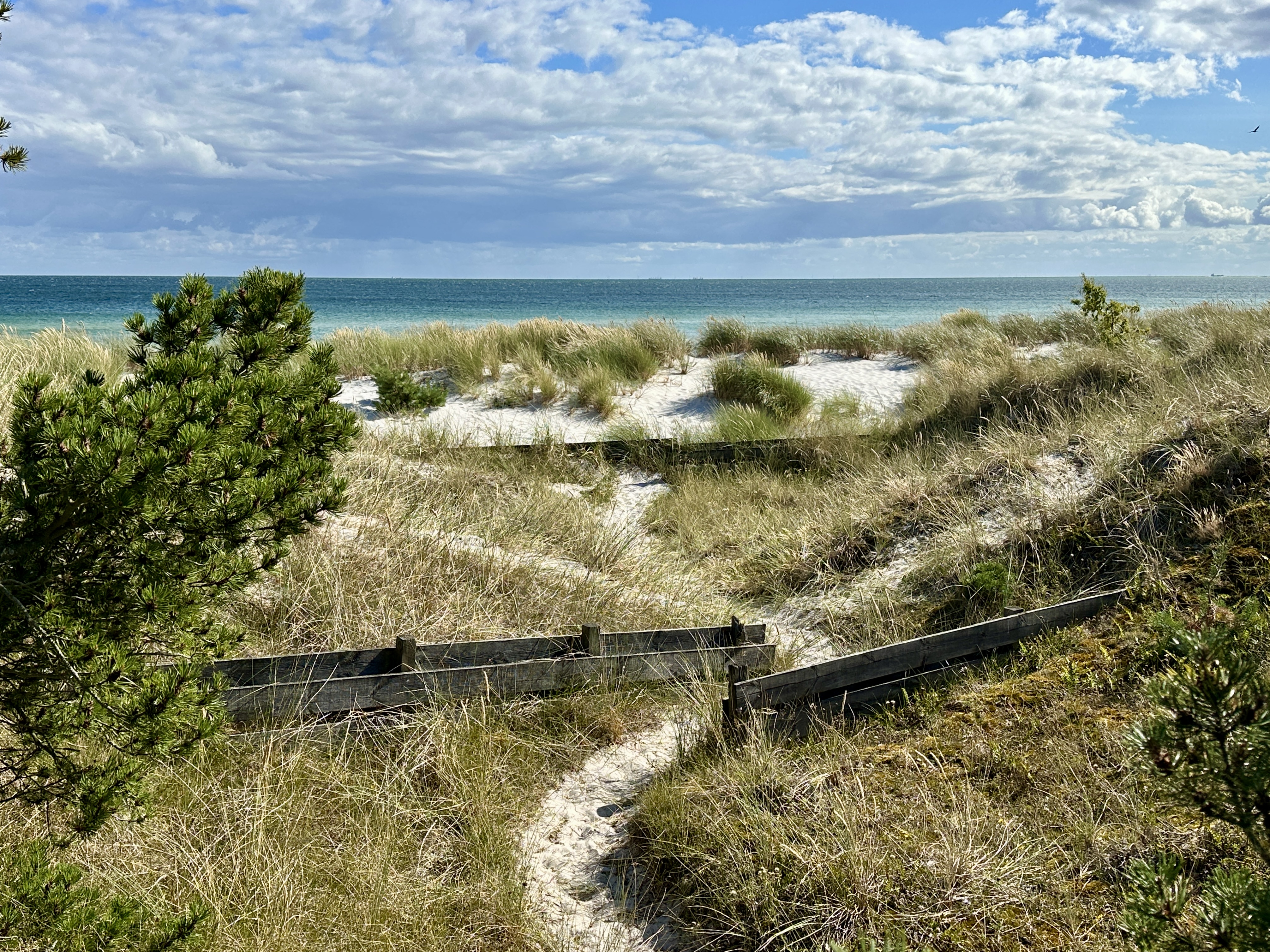 Falsterbo