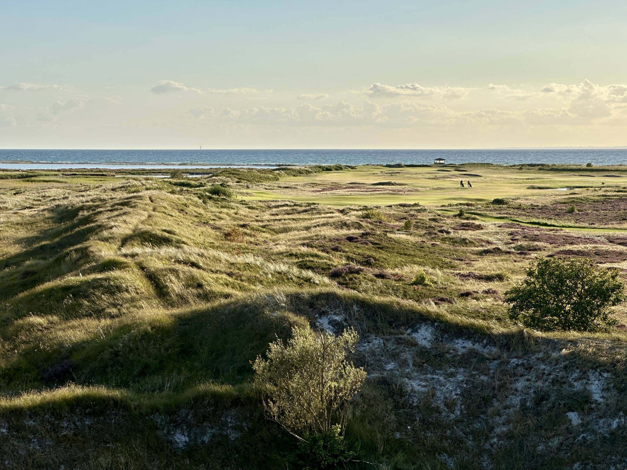 Falsterbo Golfklubb
