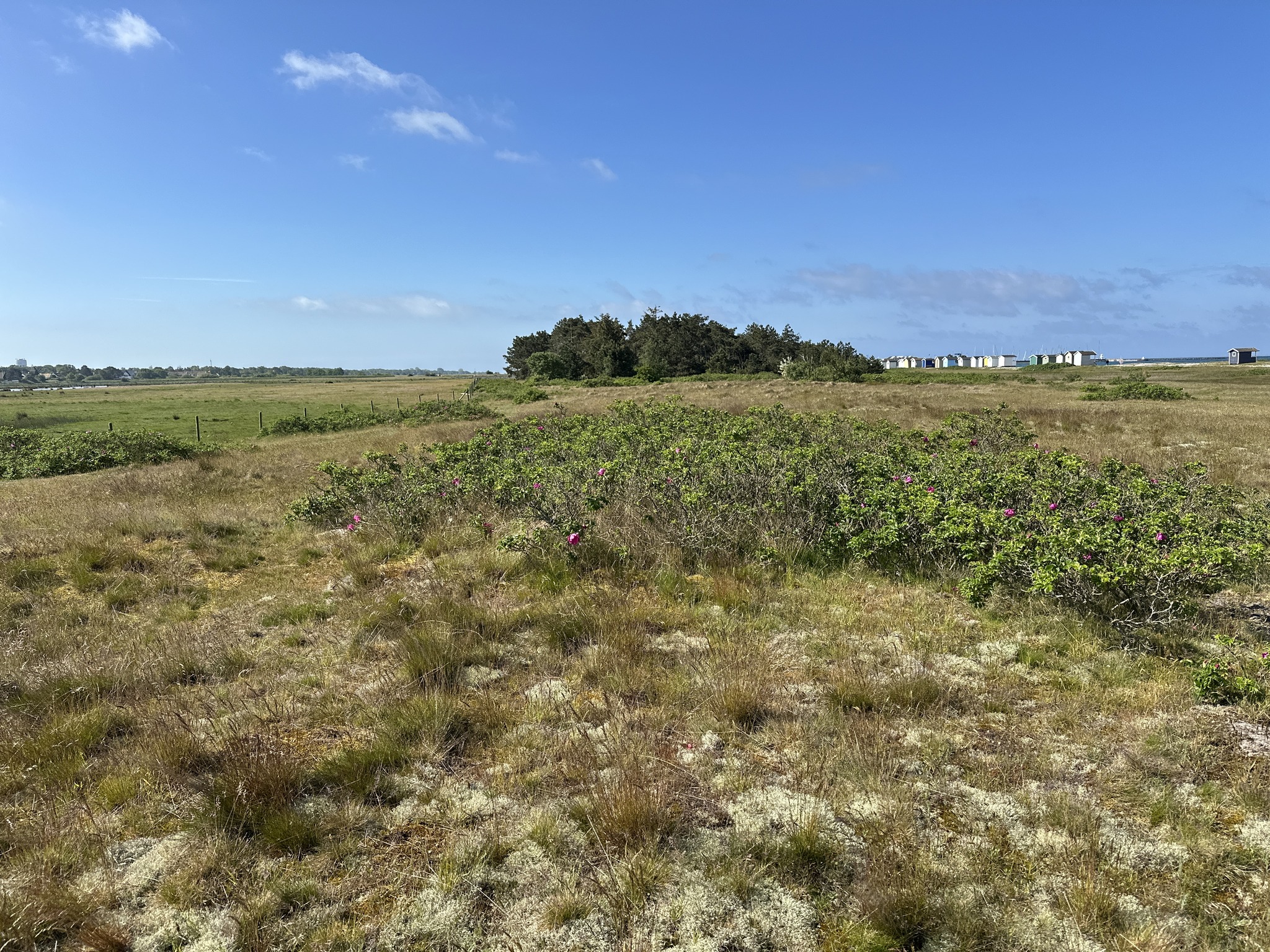 Hovbacken - Borgmästarstigen - Skanör