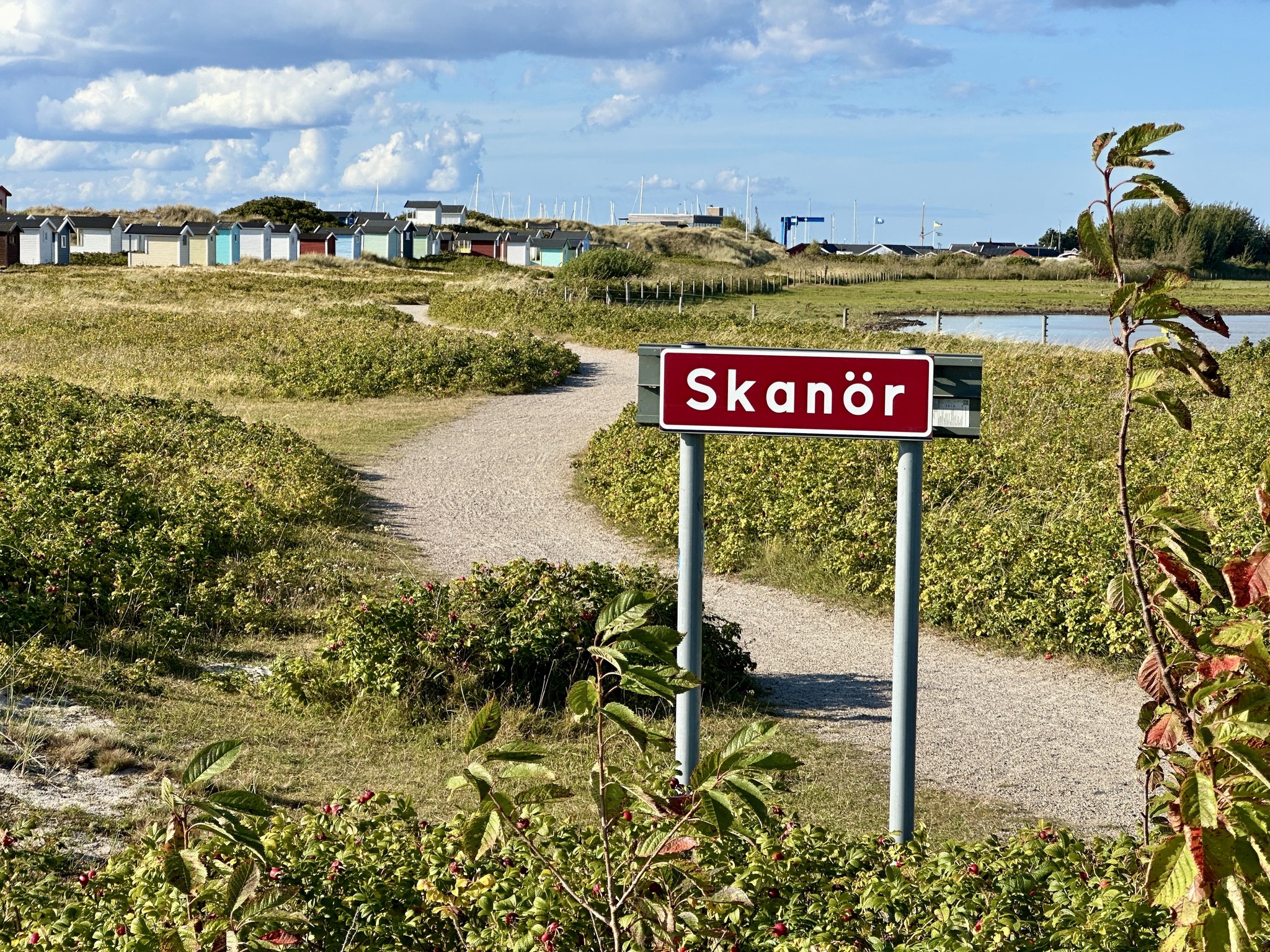 Skanör