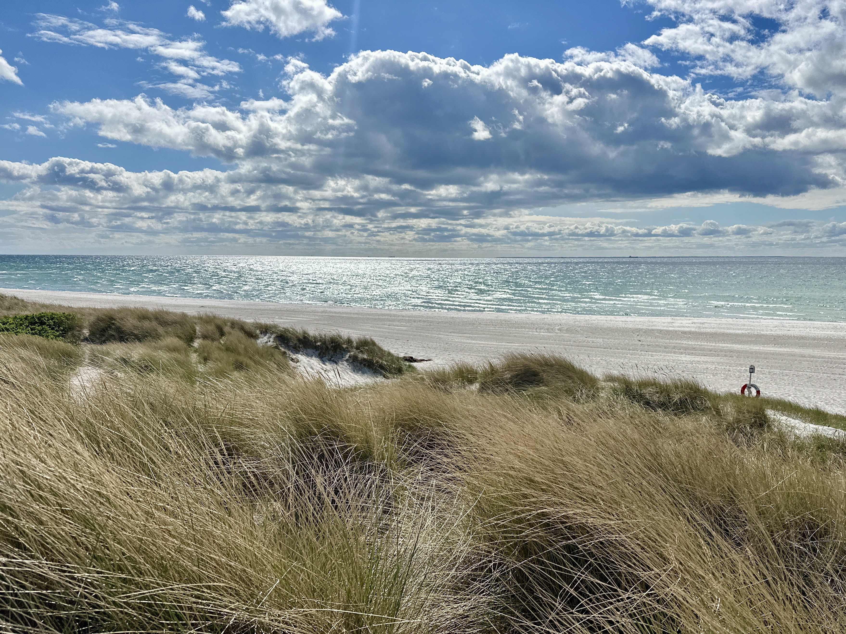 Skanörs strand