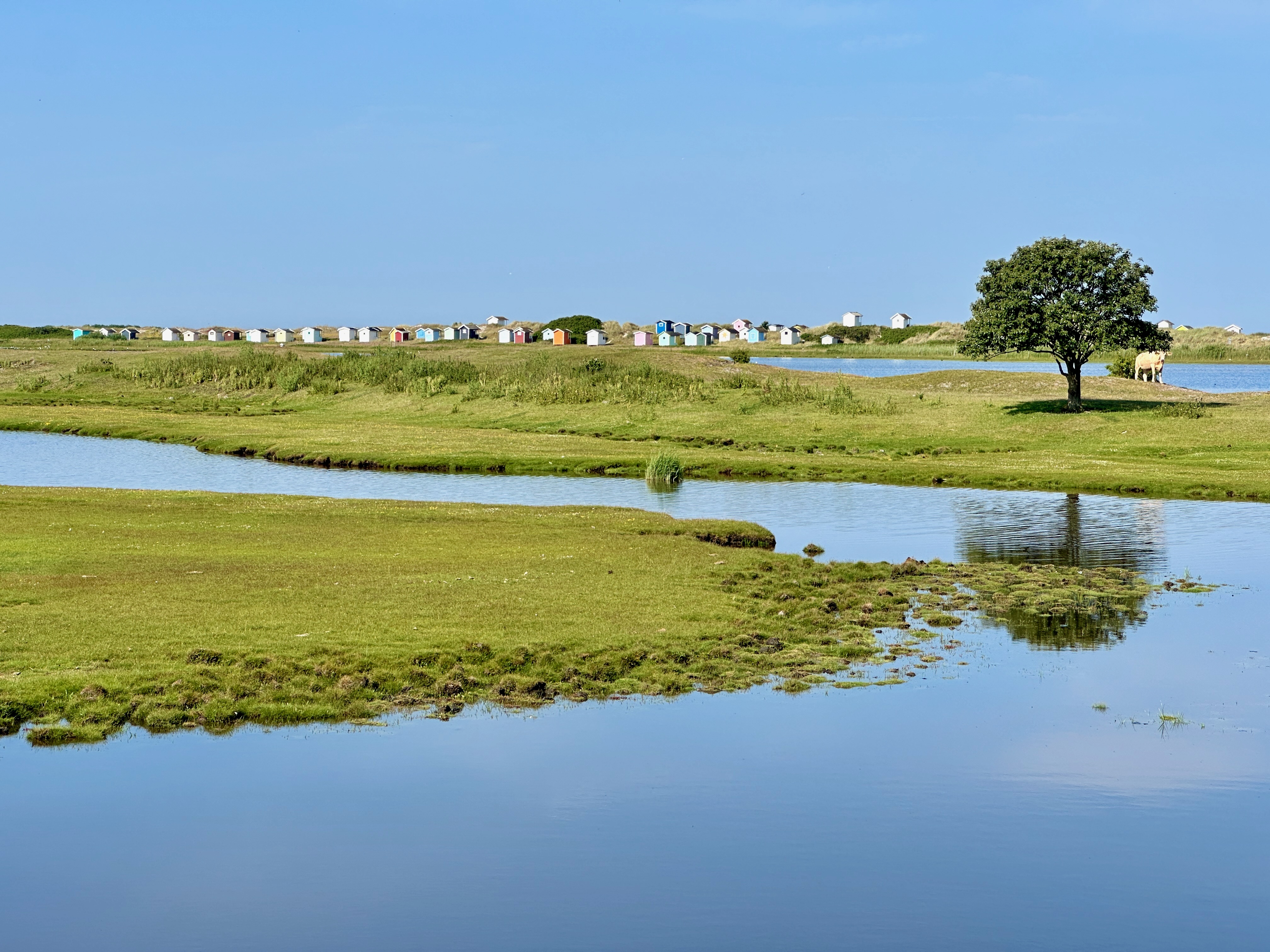 Flommen - Skanör