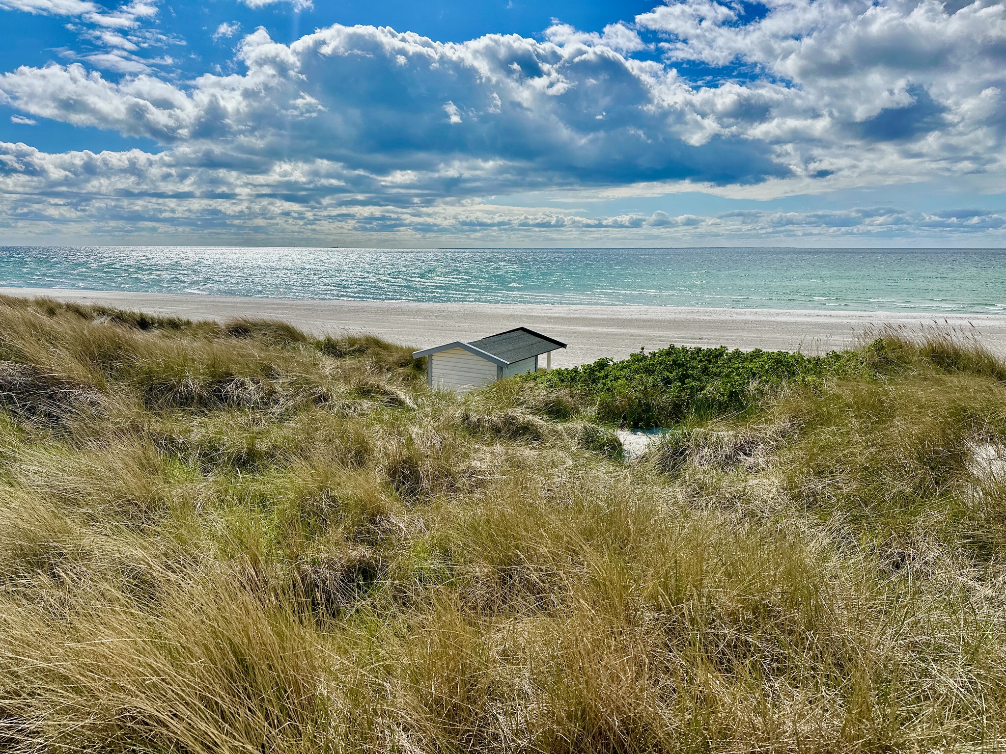 Skanörs strand