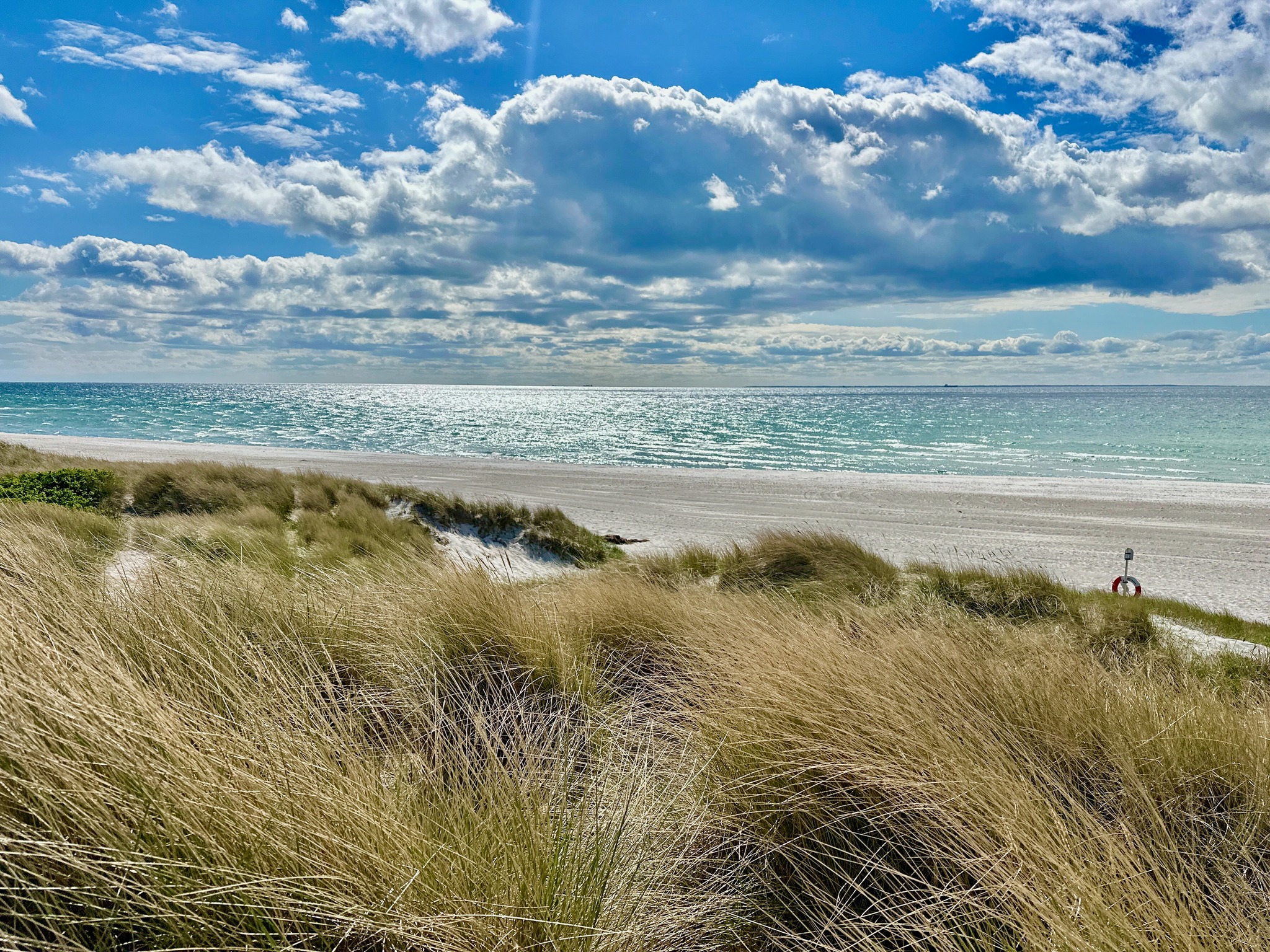 Skanörs strand