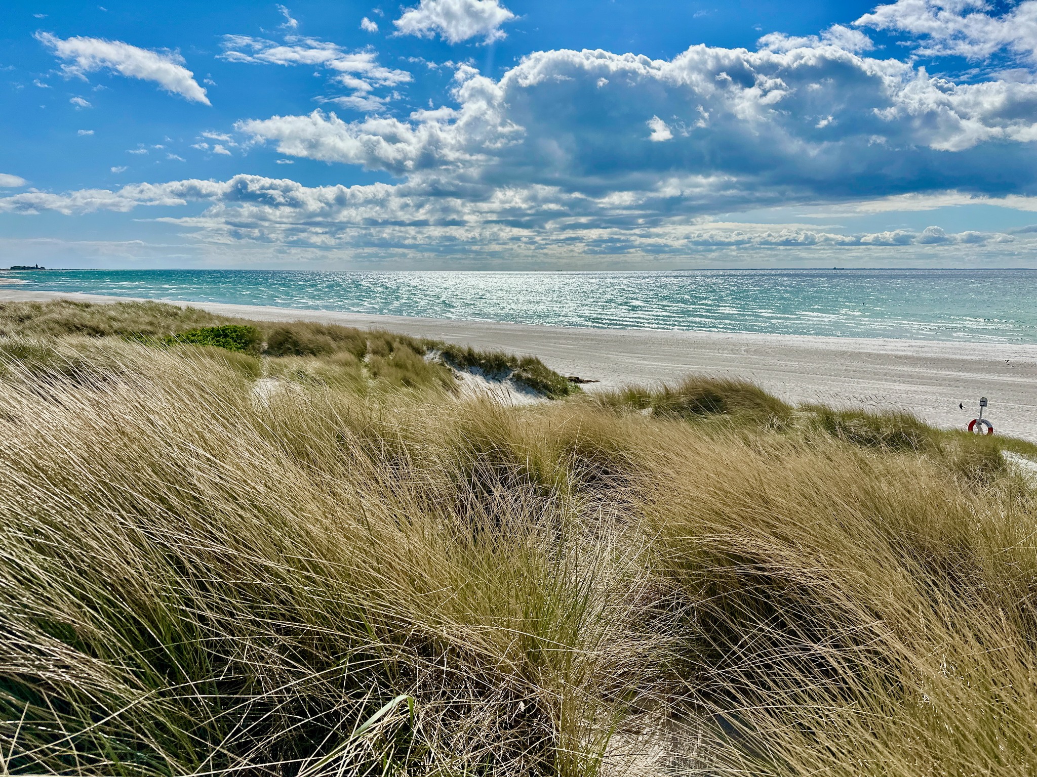 Skanörs strand