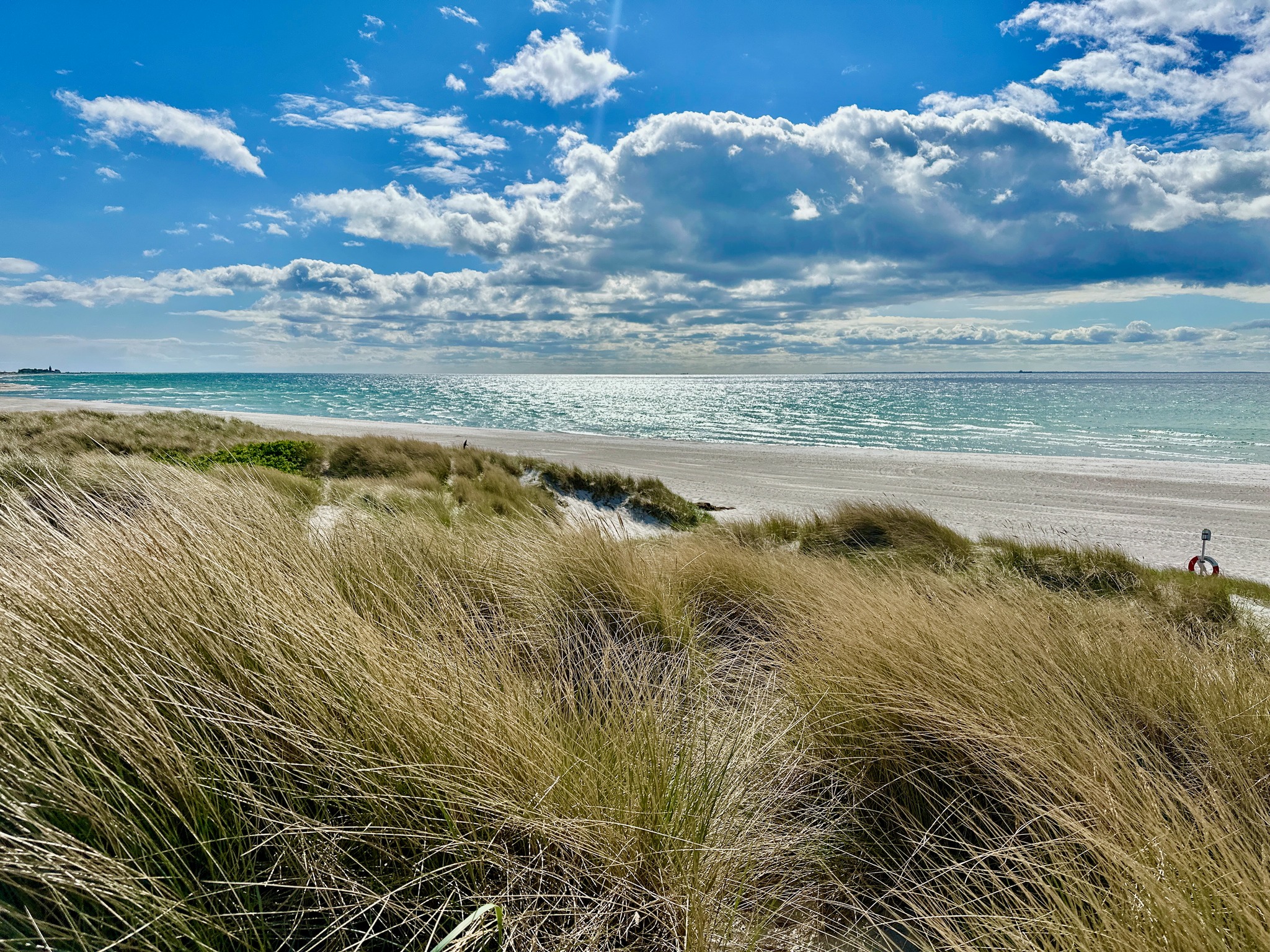 Skanörs strand
